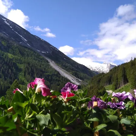 לינה וארוחת בוקר Haus Markus